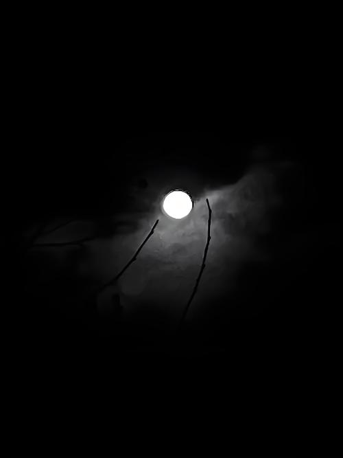 月黑风高夜(夜黑风高还是月黑风高夜)